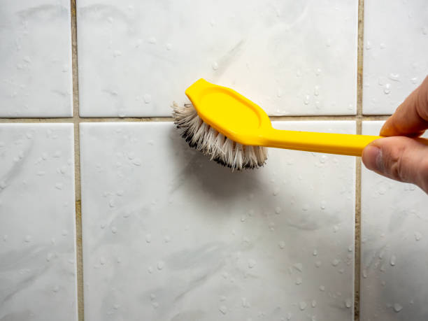Best Toxic Mold Removal  in Oroville East, CA