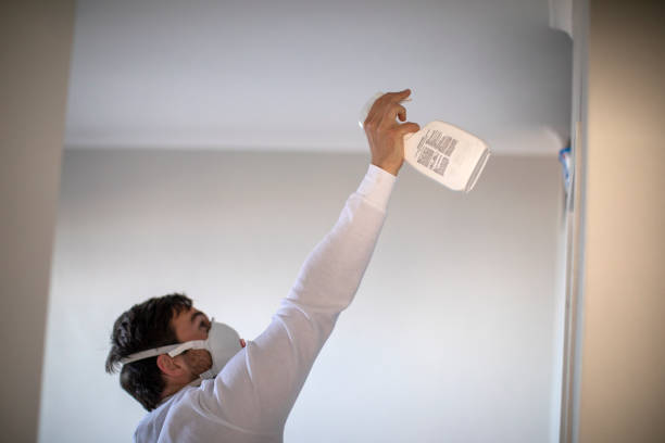 Best Commercial Mold Removal  in Oroville East, CA