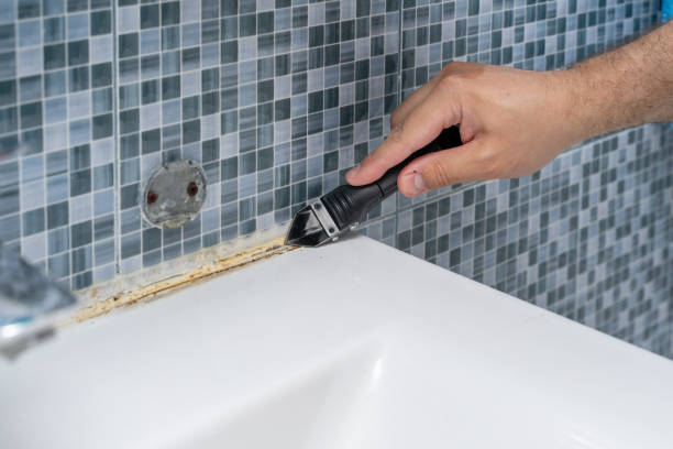 Best Residential Mold Removal  in Oroville East, CA