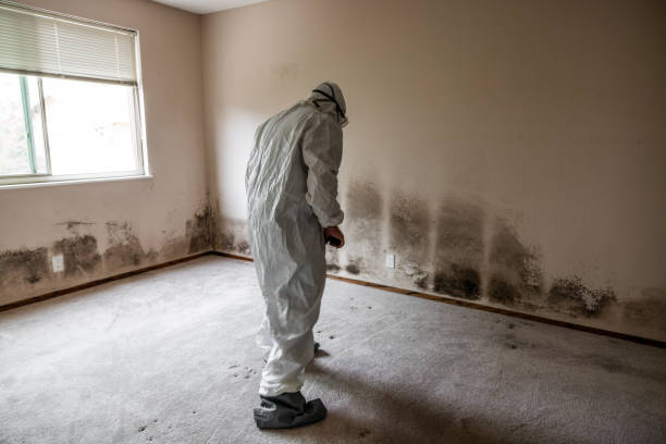 Best Residential Mold Removal  in Oroville East, CA